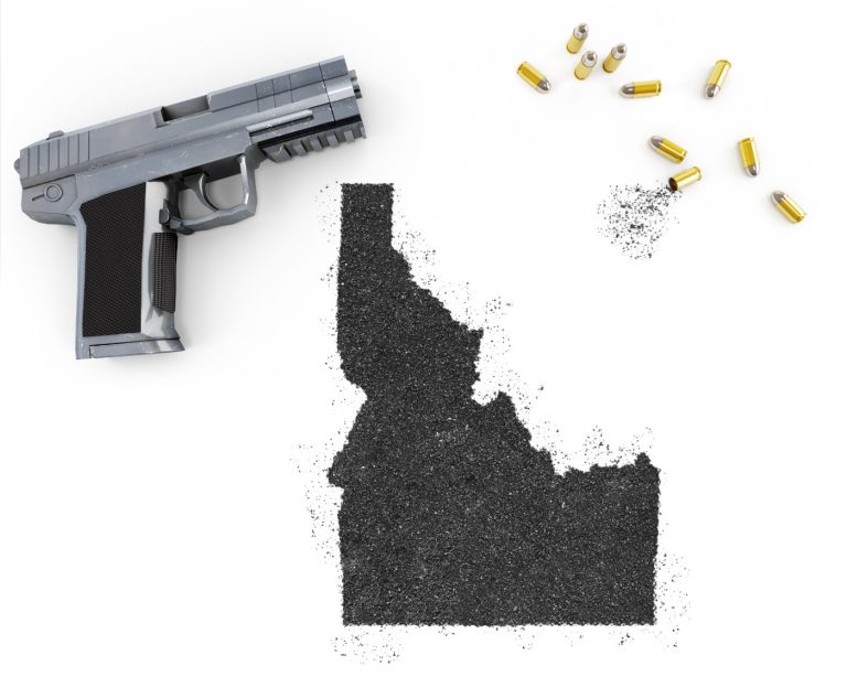 Gun Laws | Boise, Idaho